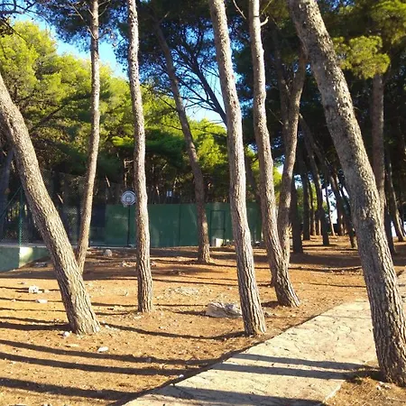 Acroa * Primošten